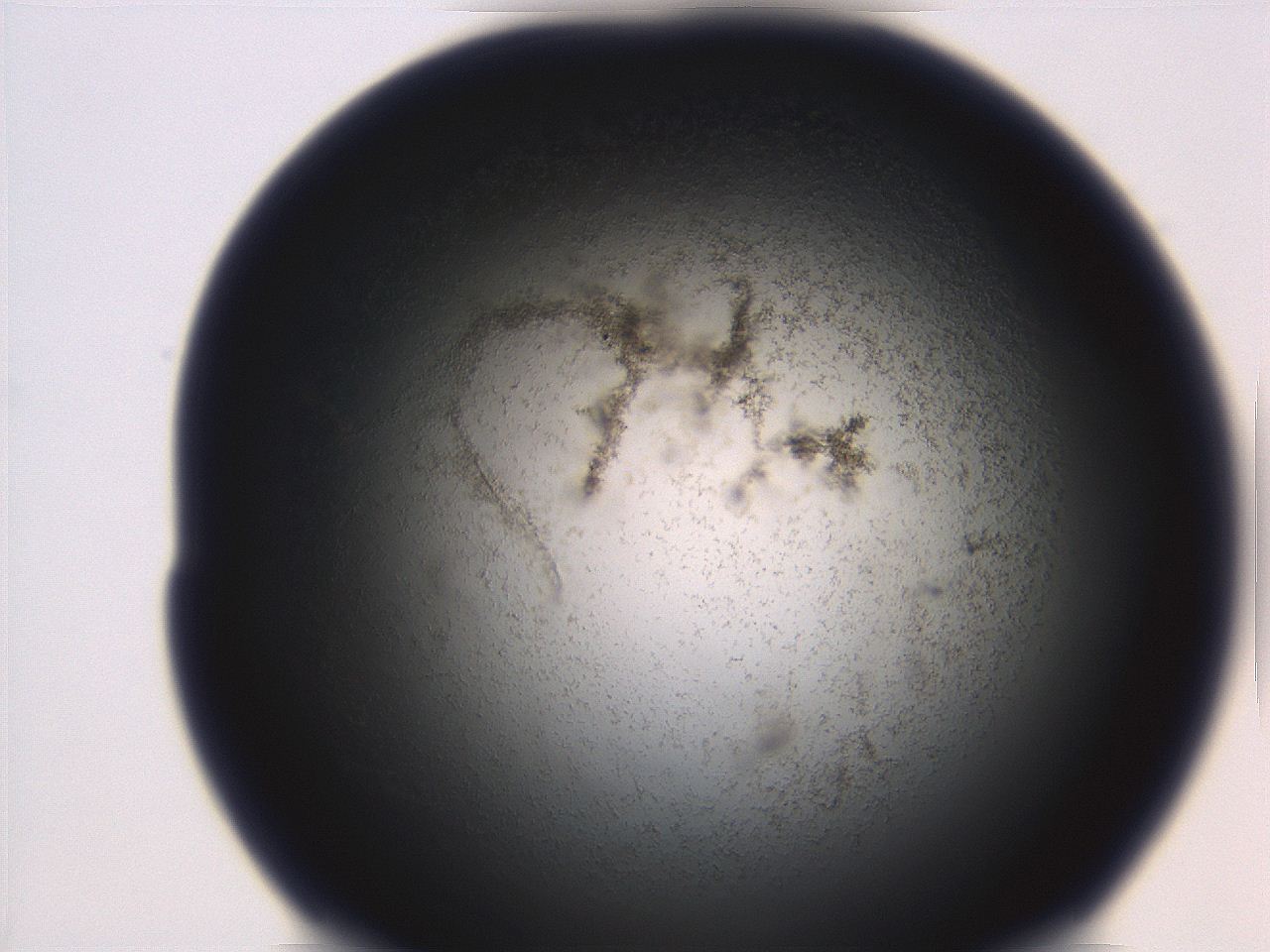 06ed_B2_ImagerDefaults_3.jpg