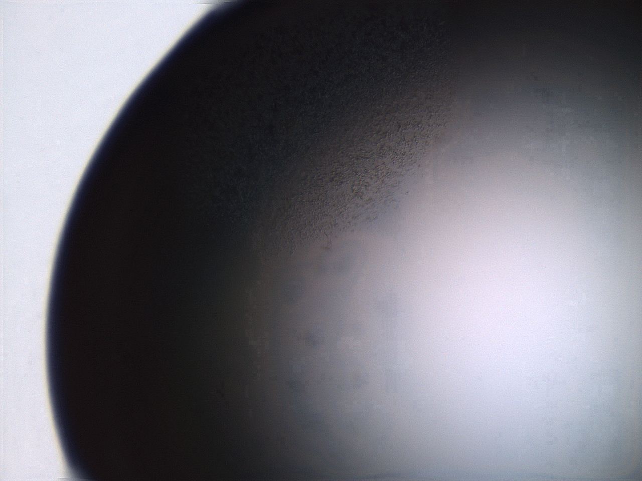 06ed_B5_ImagerDefaults_3.jpg