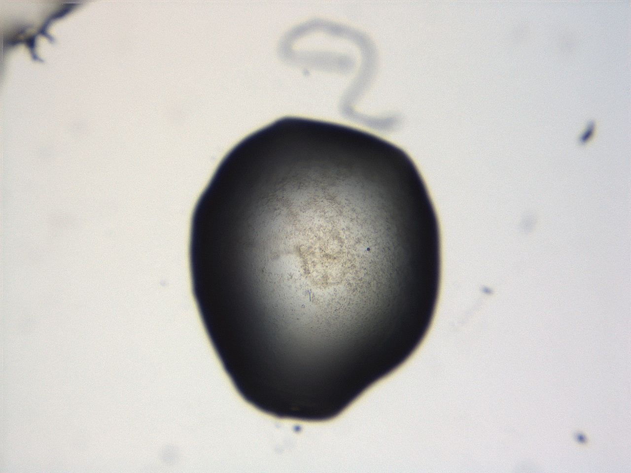 06ed_C11_ImagerDefaults_3.jpg