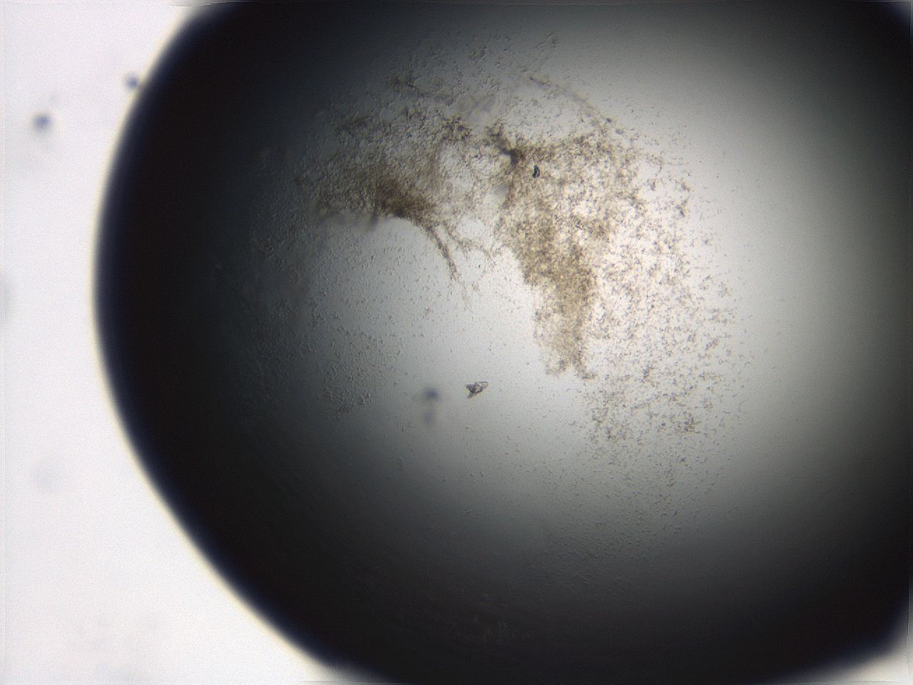 06ed_C12_ImagerDefaults_3.jpg