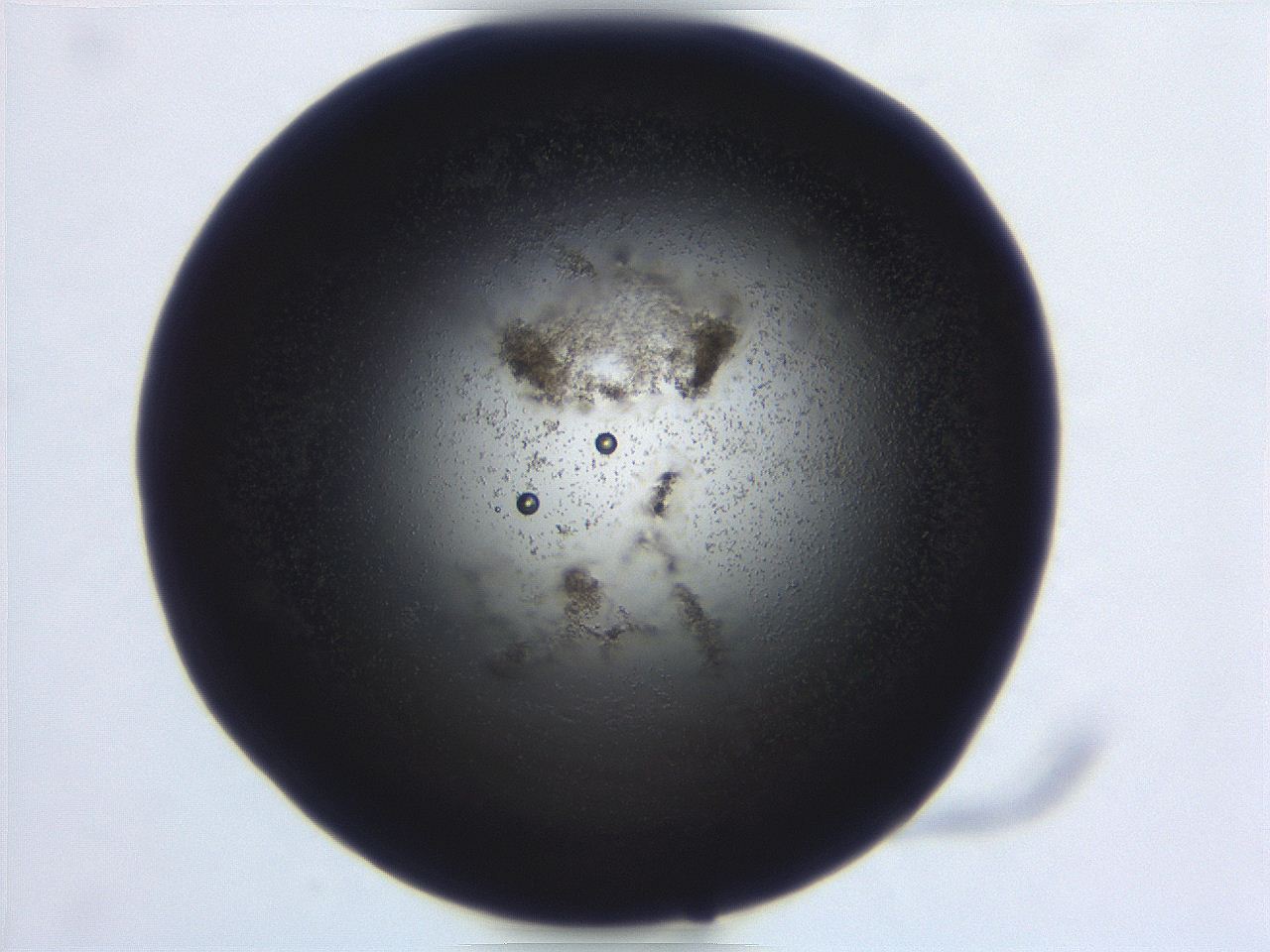 06ed_D6_ImagerDefaults_3.jpg