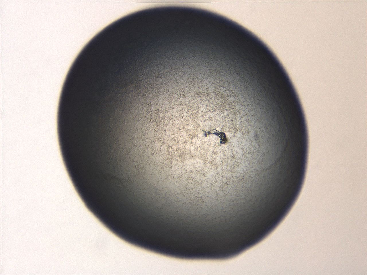 06ed_A1_ImagerDefaults_3.jpg