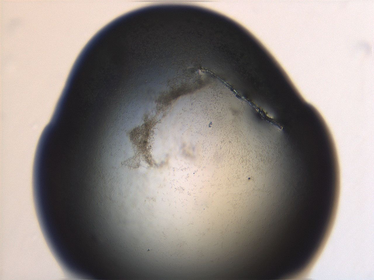 06ed_A2_ImagerDefaults_3.jpg