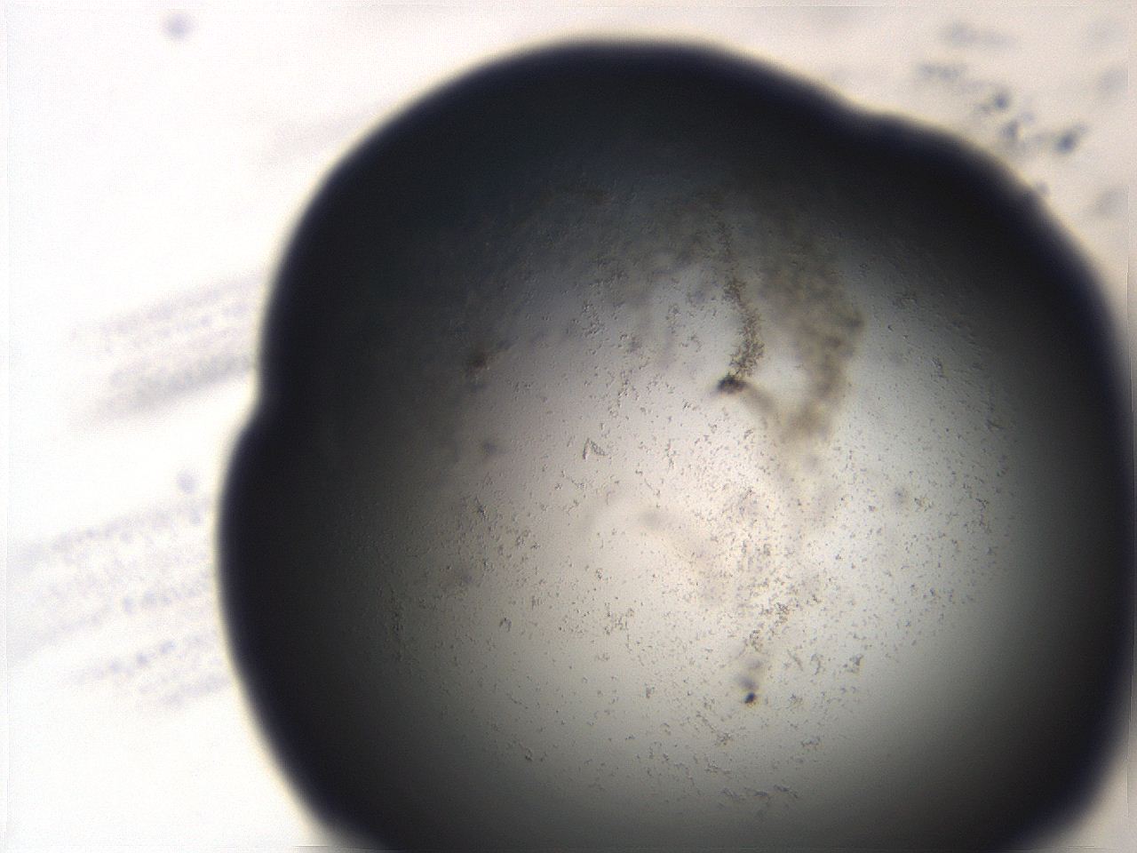 06ed_A9_ImagerDefaults_3.jpg