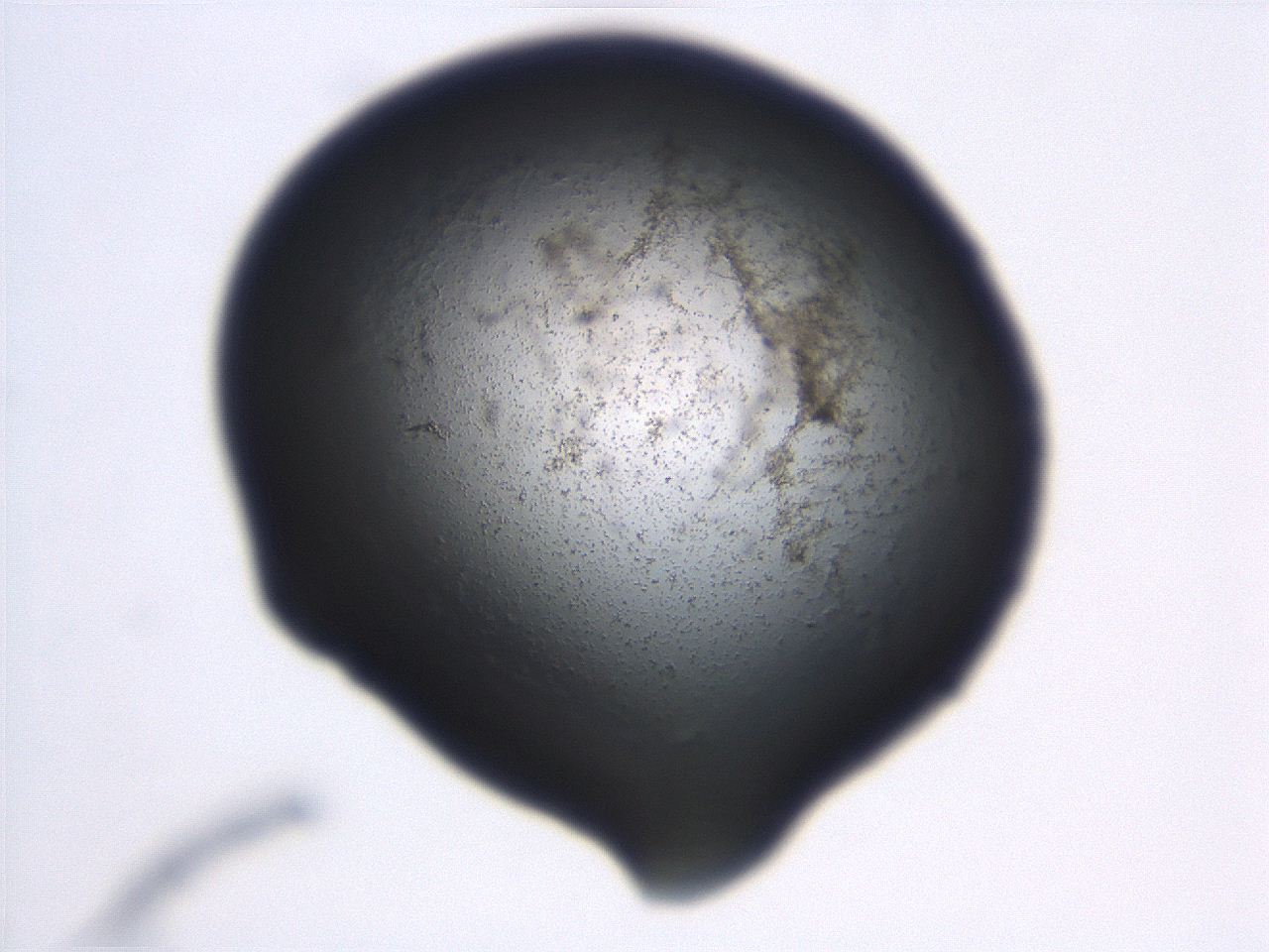 06ed_B10_ImagerDefaults_3.jpg