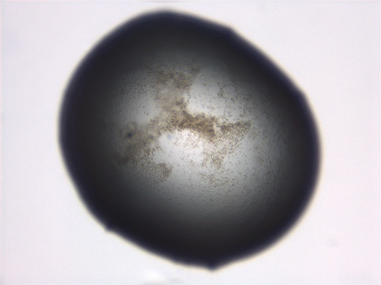 06ed_B11_ImagerDefaults_3.jpg