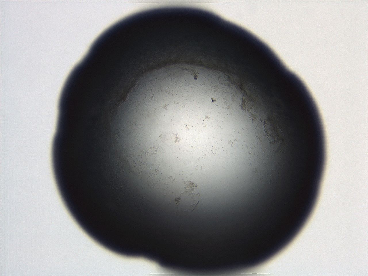 06ed_B12_ImagerDefaults_3.jpg