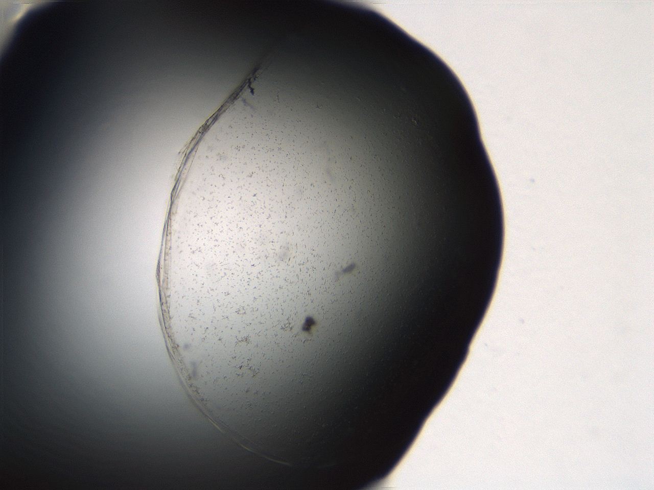 06ed_D8_ImagerDefaults_3.jpg