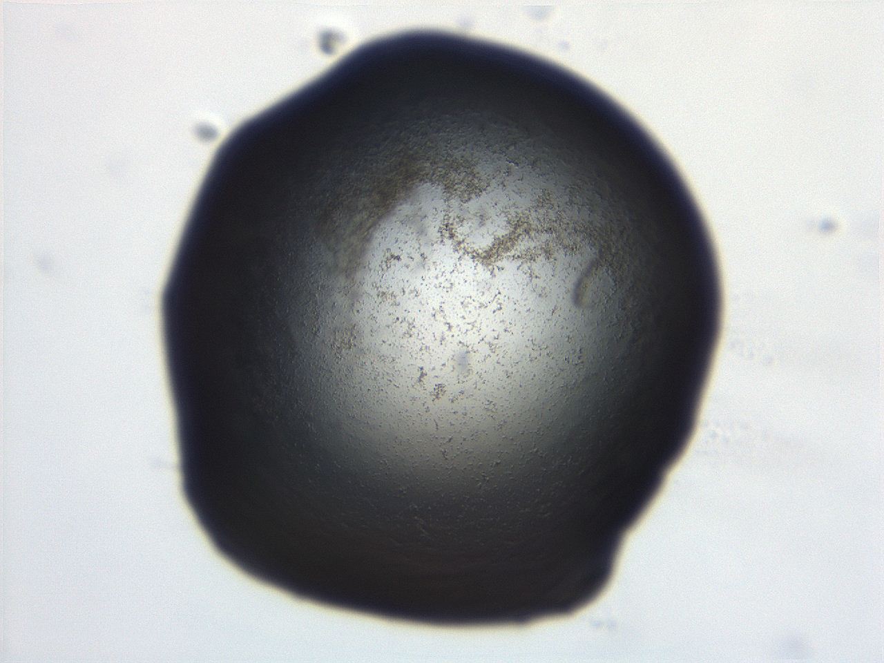 06ed_D10_ImagerDefaults_3.jpg