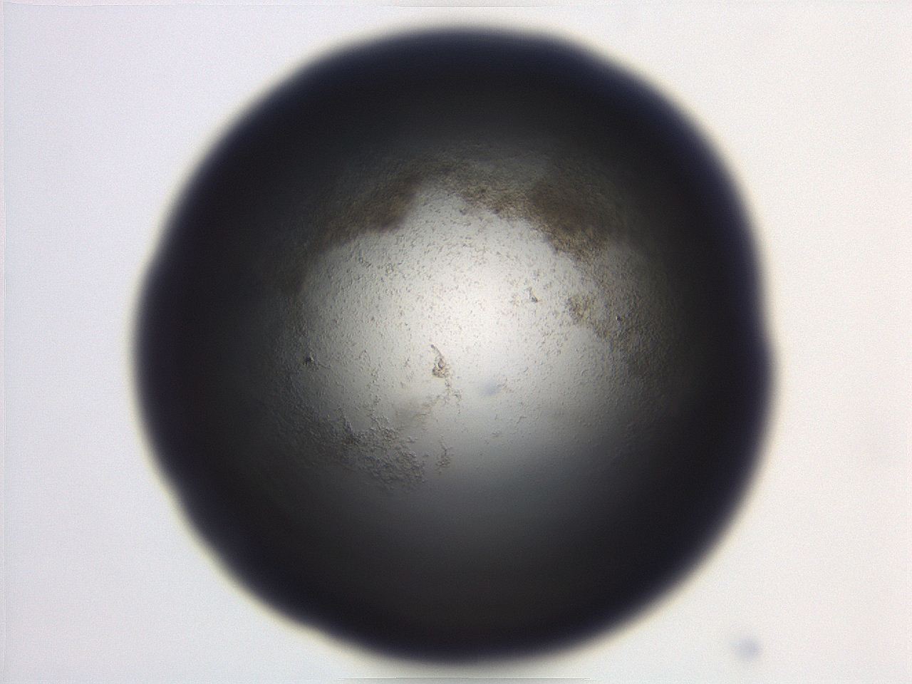 06ed_D12_ImagerDefaults_3.jpg