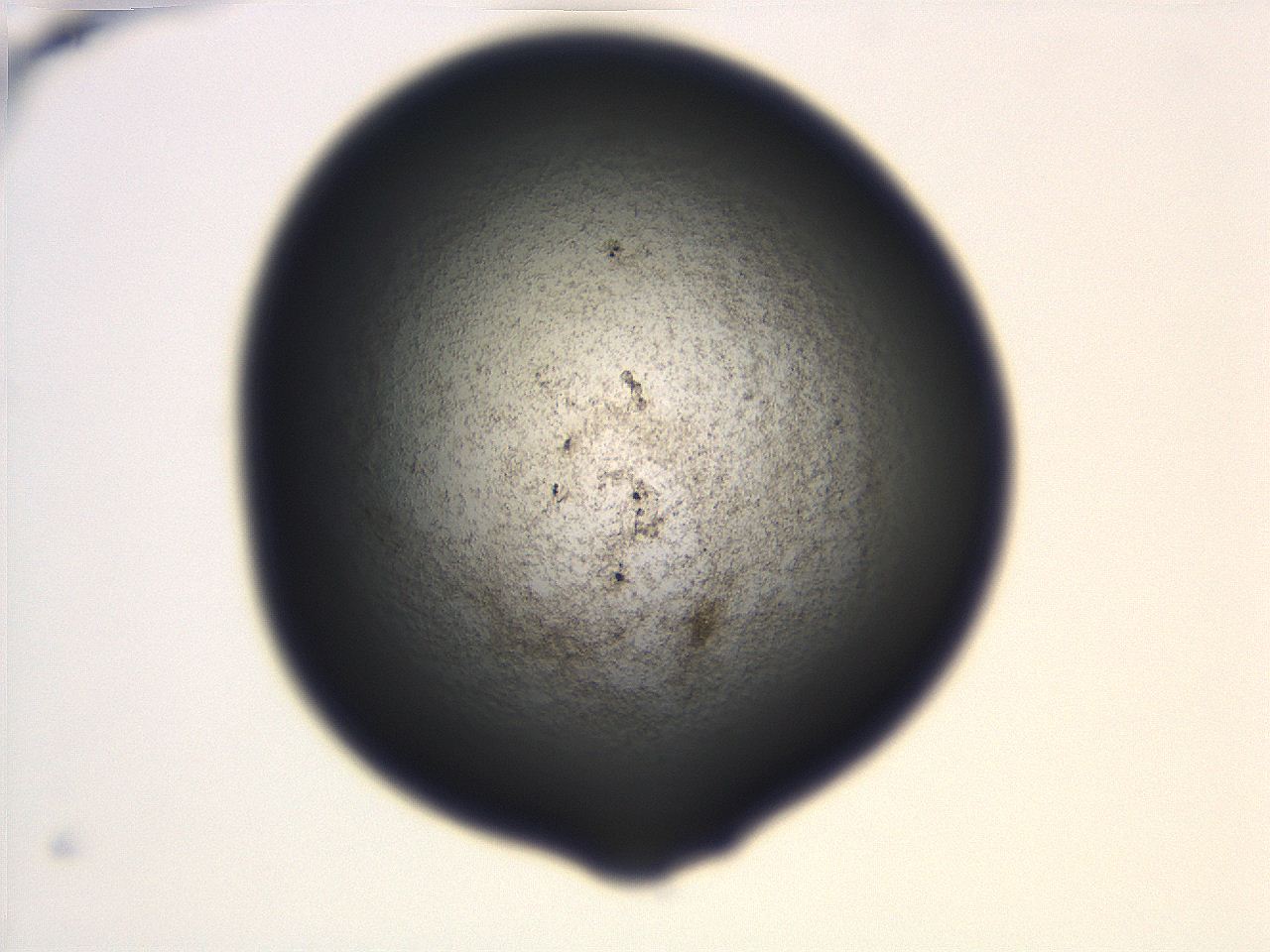 06ed_E1_ImagerDefaults_3.jpg