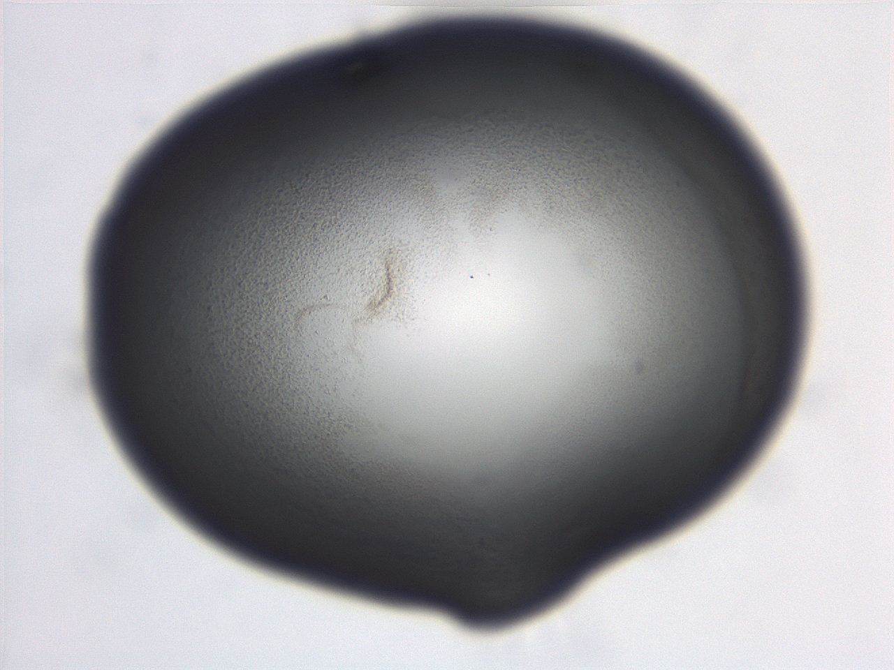 06ee_B12_ImagerDefaults_3.jpg
