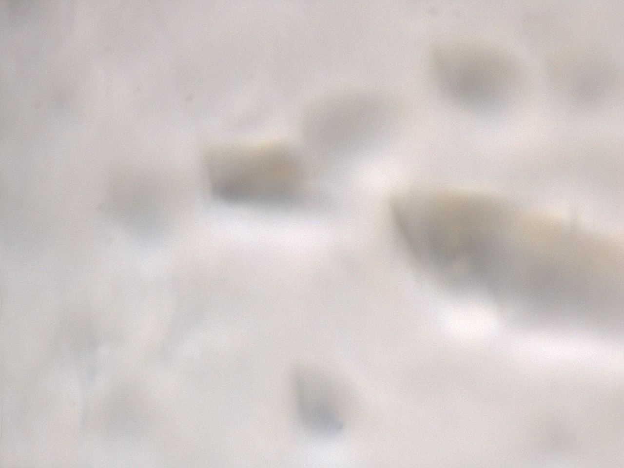 06ee_A7_ImagerDefaults_m.jpg