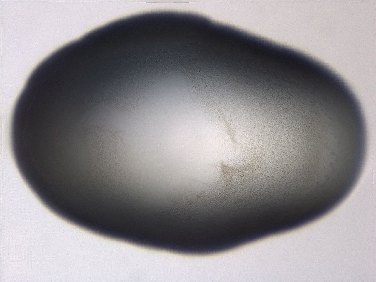 06ee_A9_ImagerDefaults_3.jpg