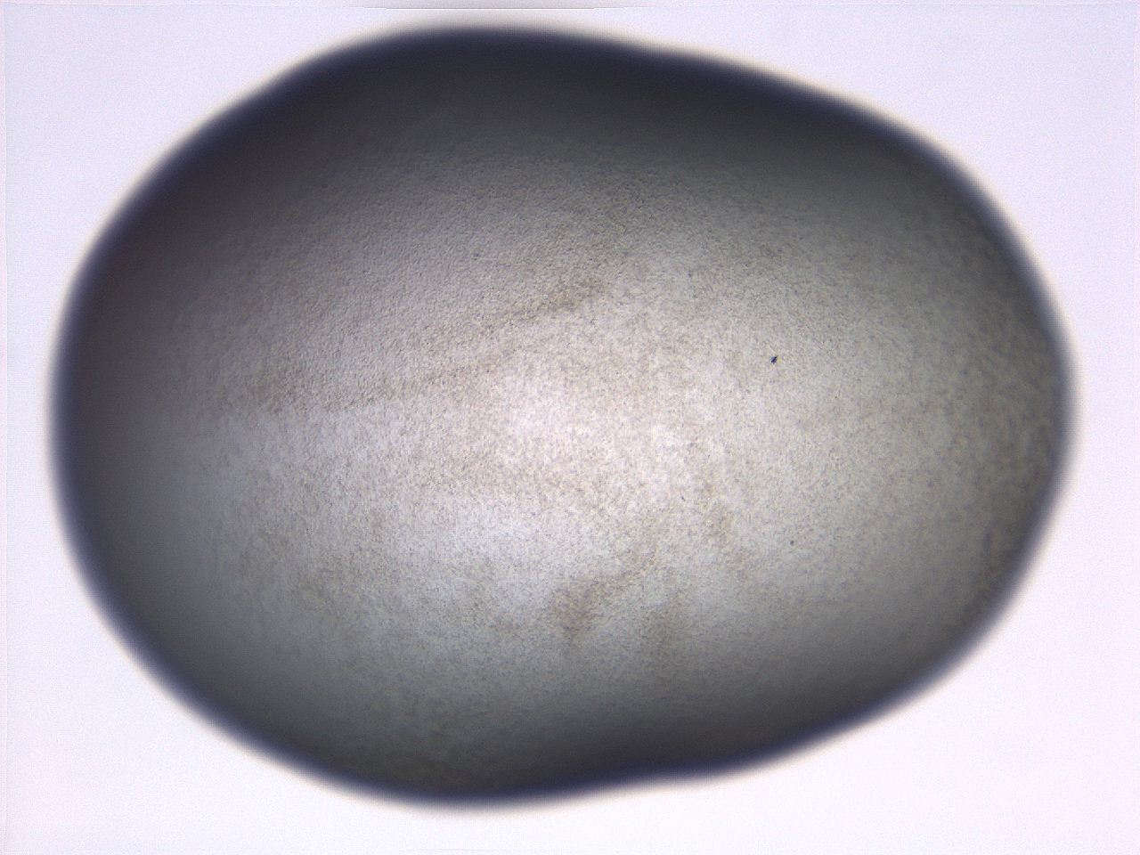 06ee_B1_ImagerDefaults_3.jpg