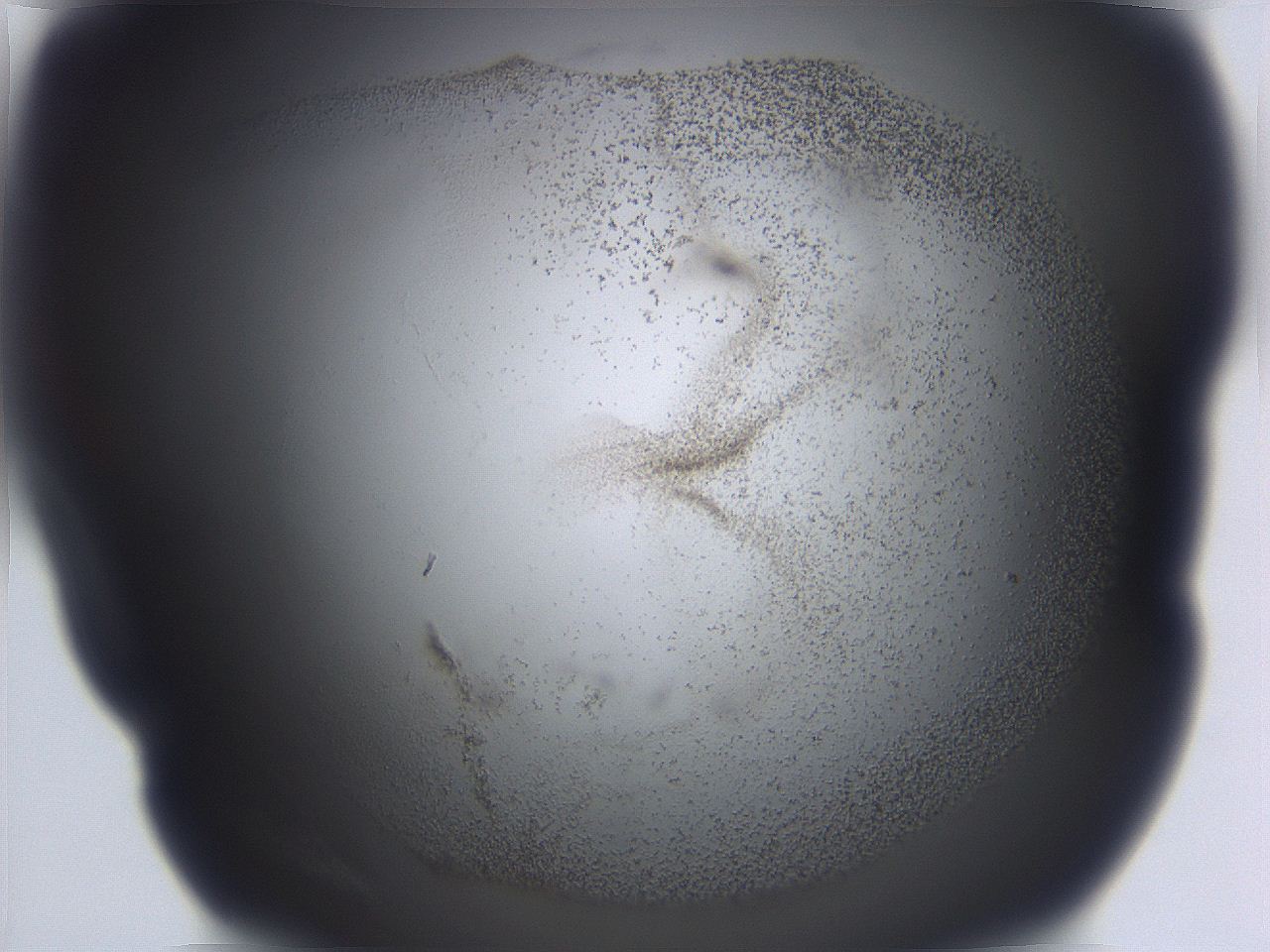 06ee_C10_ImagerDefaults_3.jpg