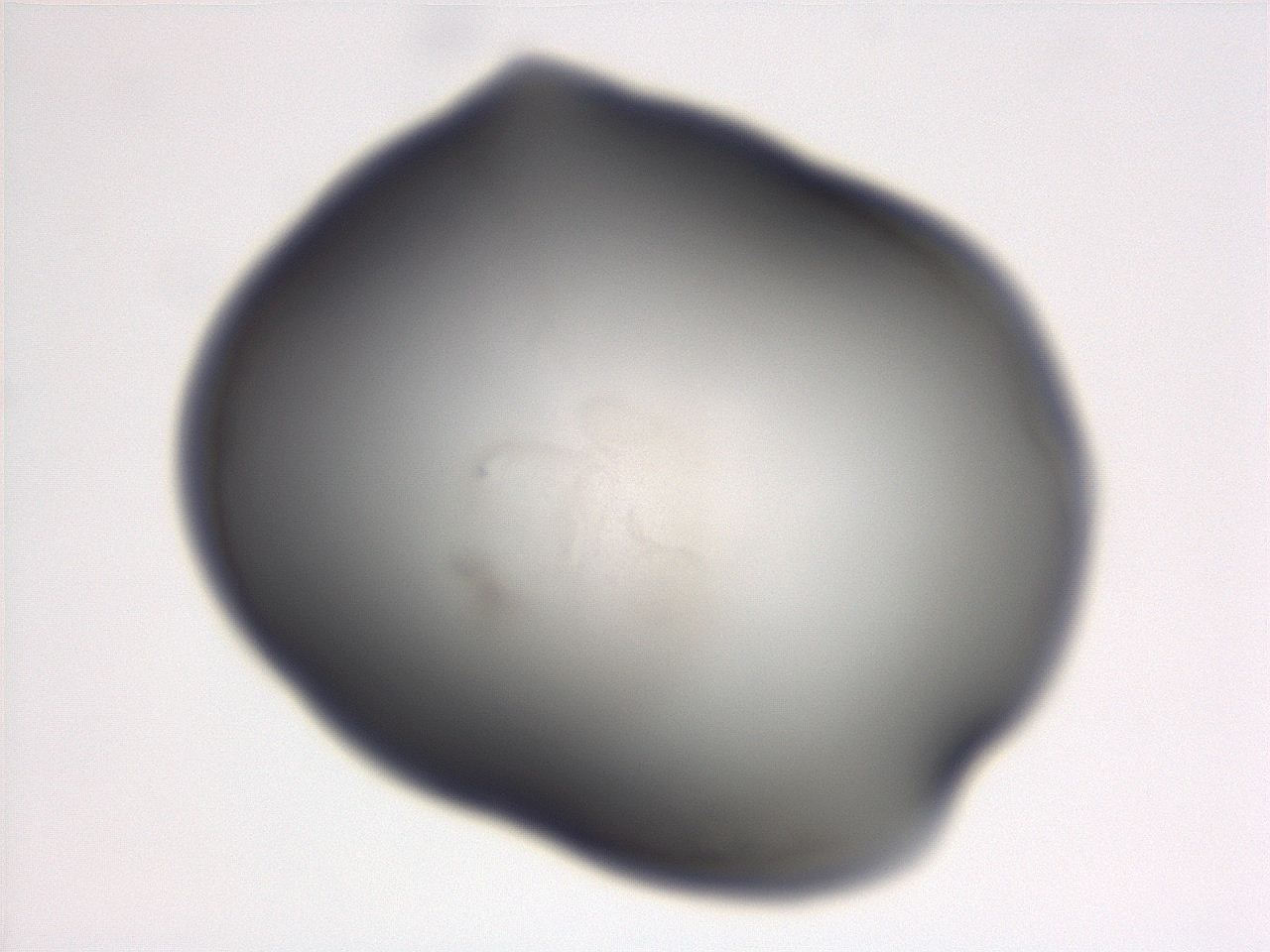 06ee_C11_ImagerDefaults_3.jpg