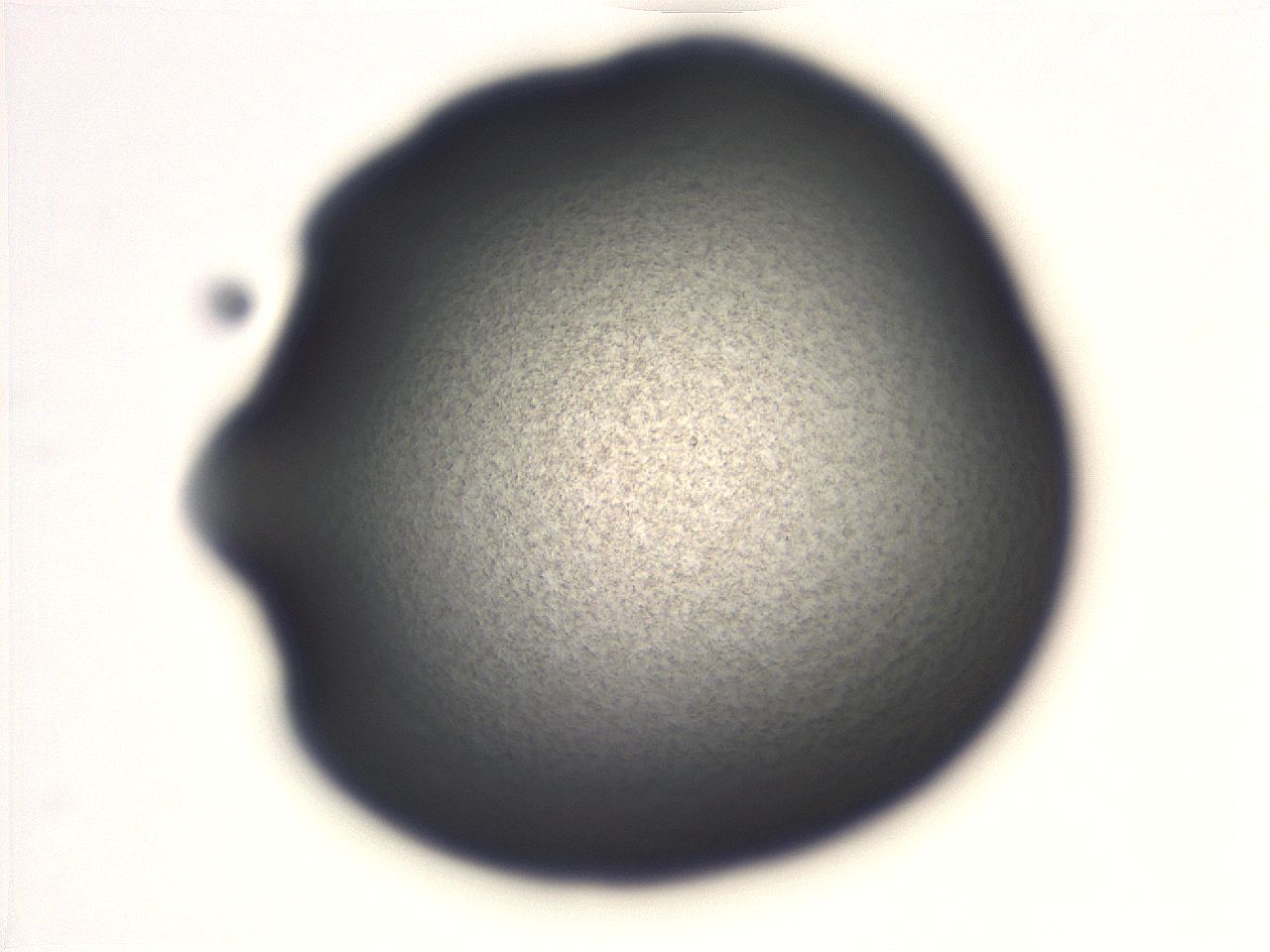 06ee_D11_ImagerDefaults_3.jpg