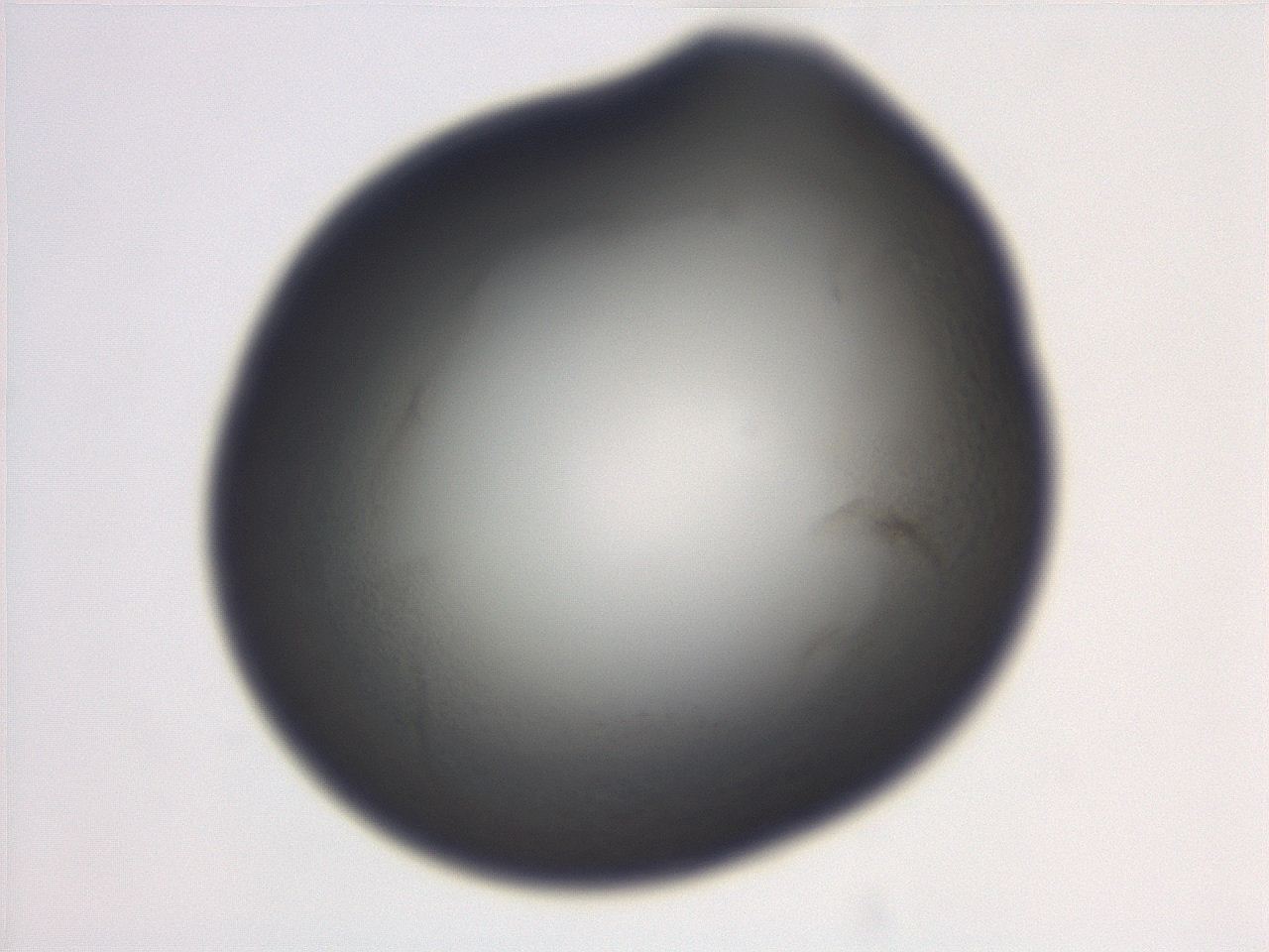 06ee_D12_ImagerDefaults_0.jpg