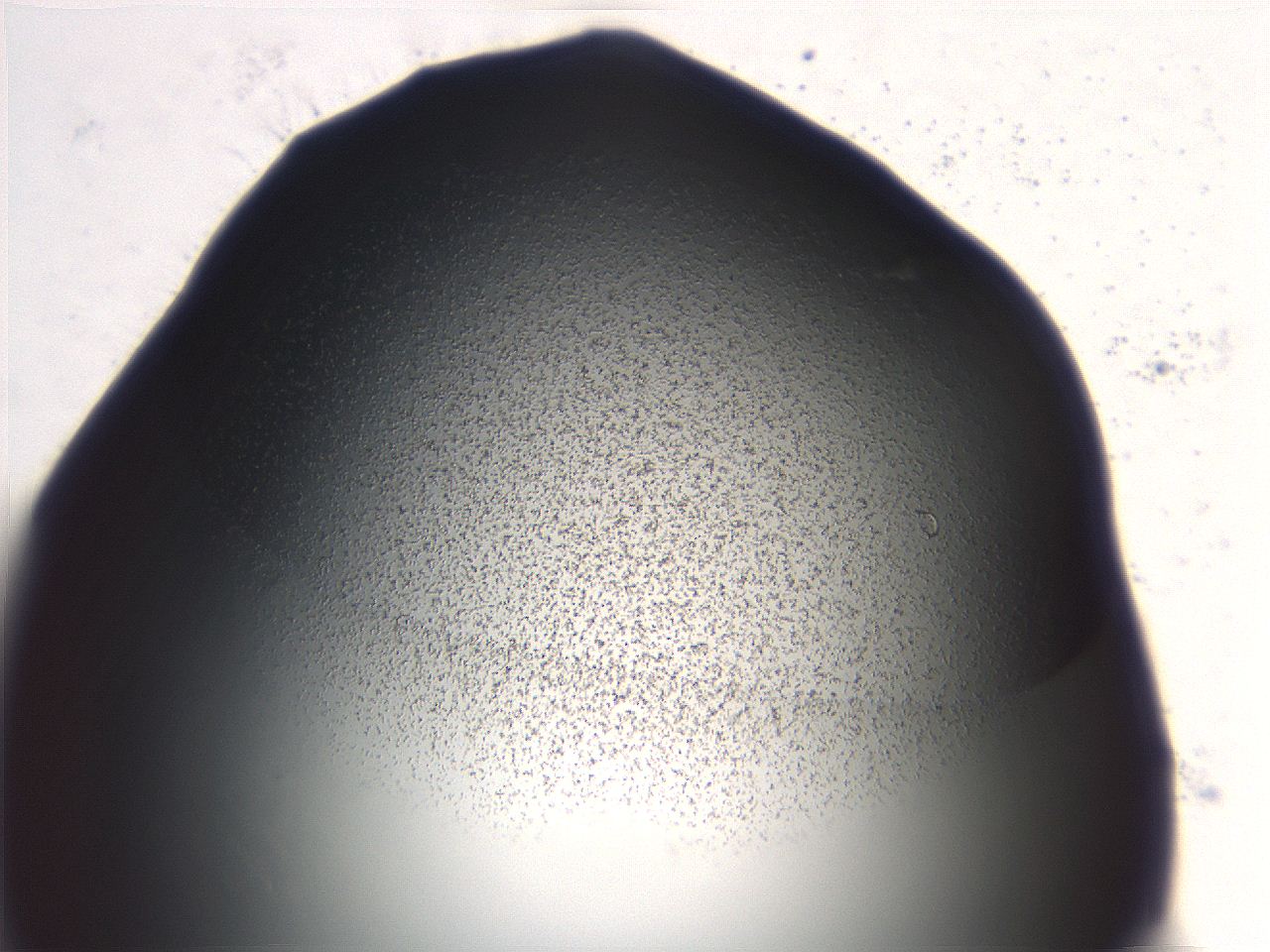 06ee_E5_ImagerDefaults_3.jpg