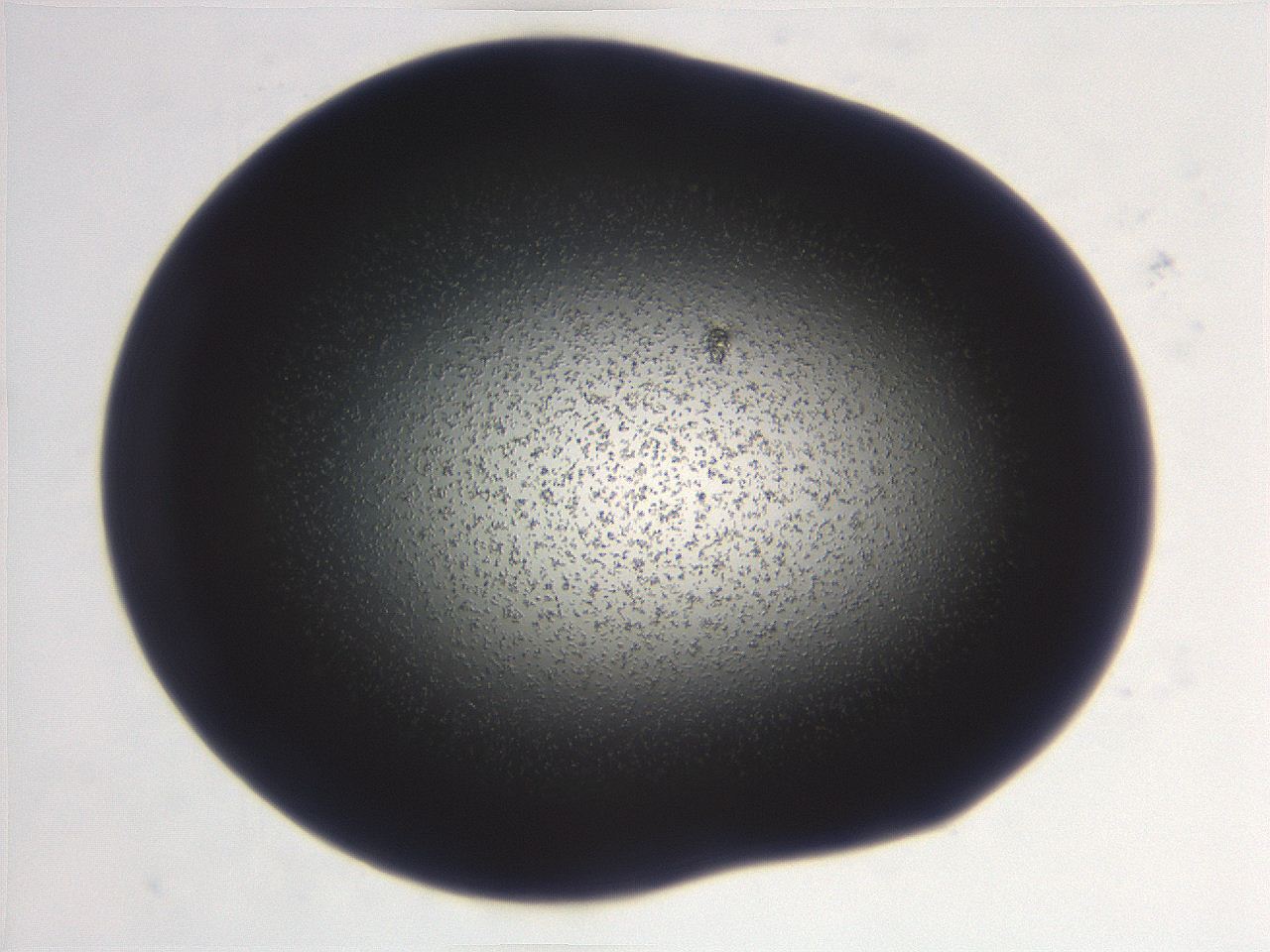 06ee_F5_ImagerDefaults_3.jpg