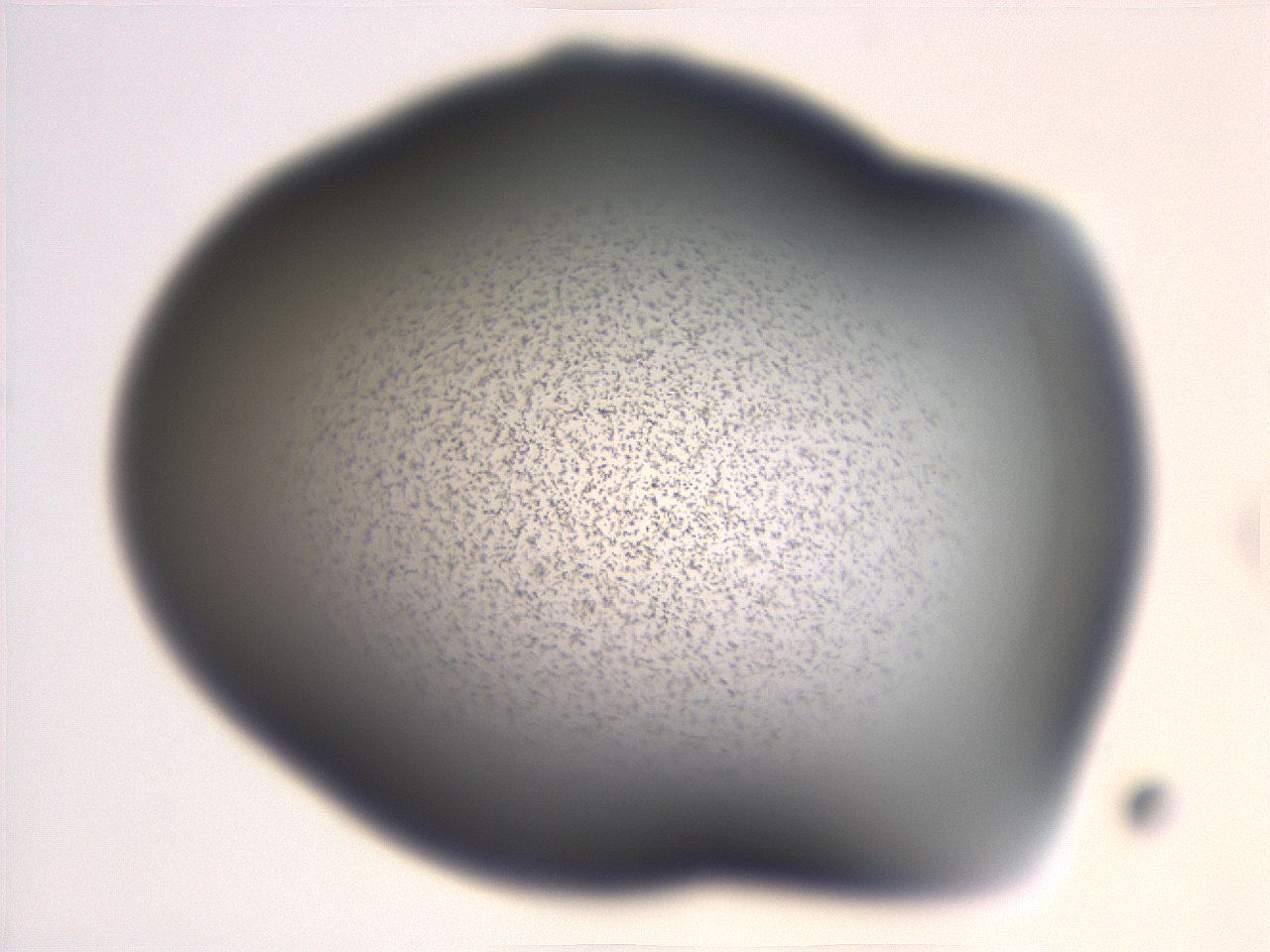 06ee_G12_ImagerDefaults_3.jpg