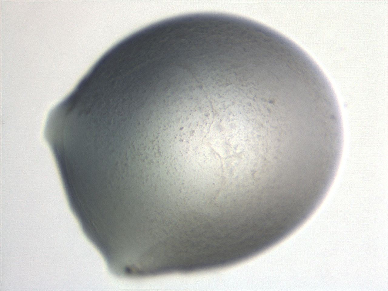 06ee_H11_ImagerDefaults_3.jpg