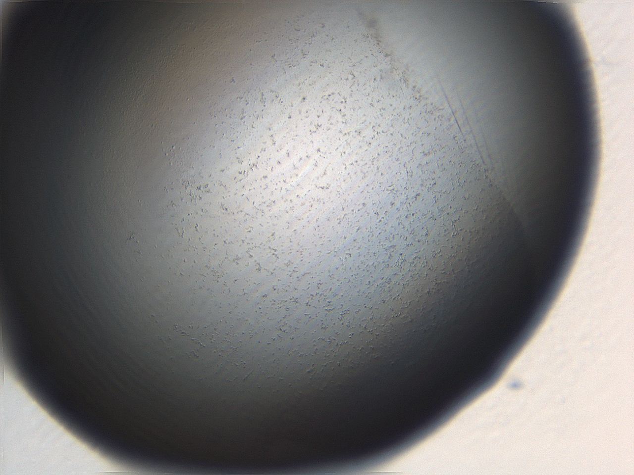 06ee_H12_ImagerDefaults_0.jpg