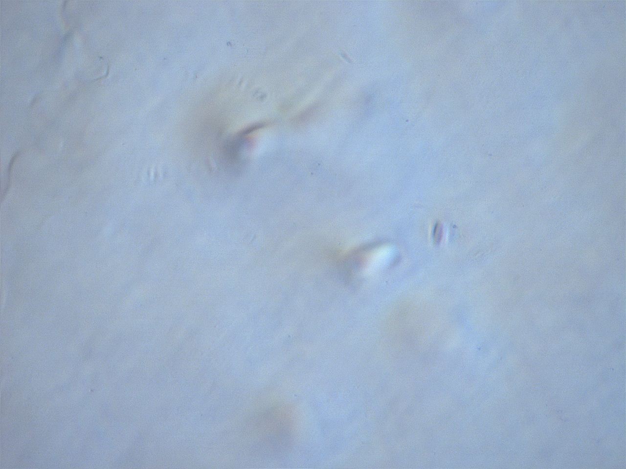 06et_A6_ImagerDefaults_m.jpg