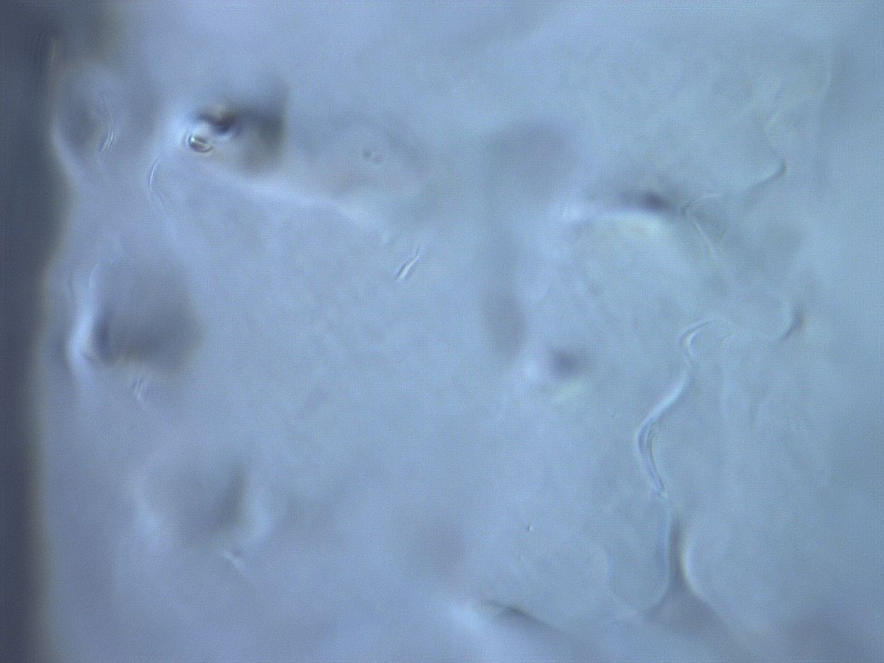 06et_F7_ImagerDefaults_m.jpg