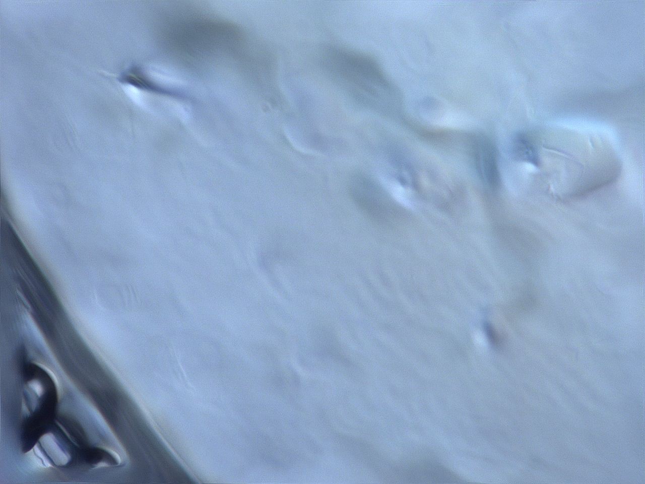 06et_G4_ImagerDefaults_m.jpg