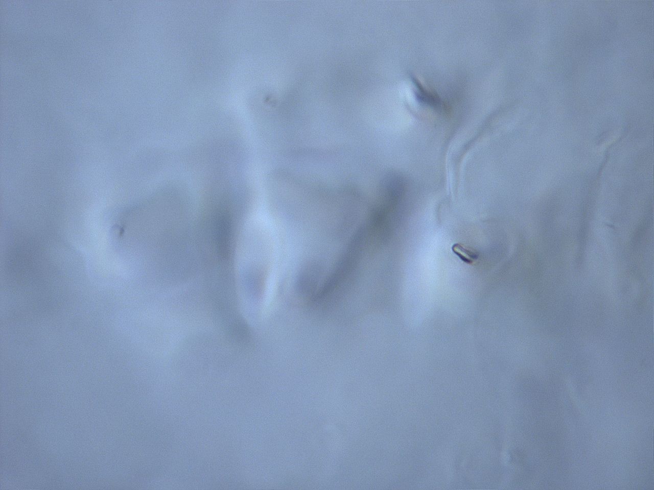 06et_G6_ImagerDefaults_m.jpg