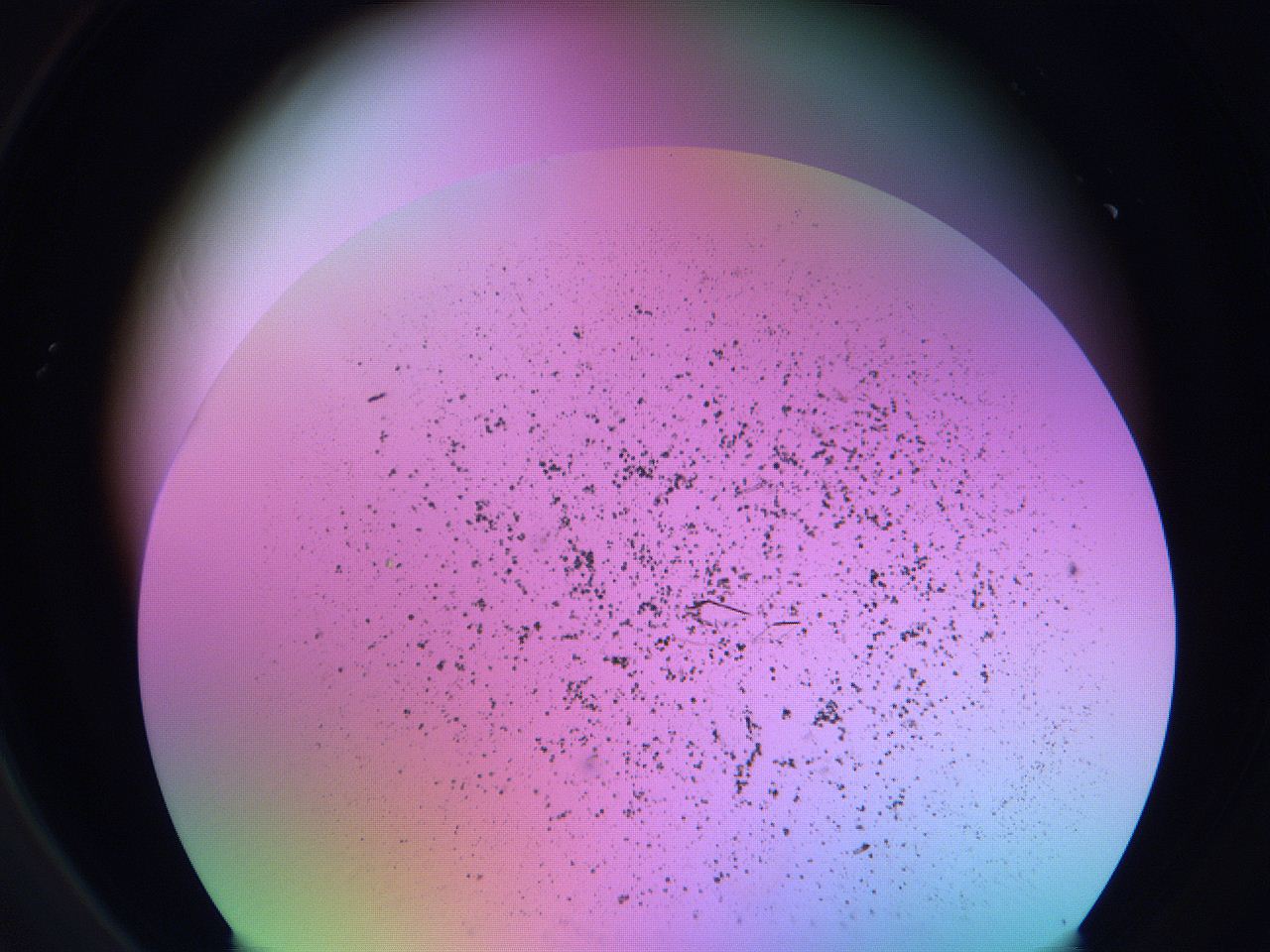 06f8_A1_ImagerDefaults_9.jpg