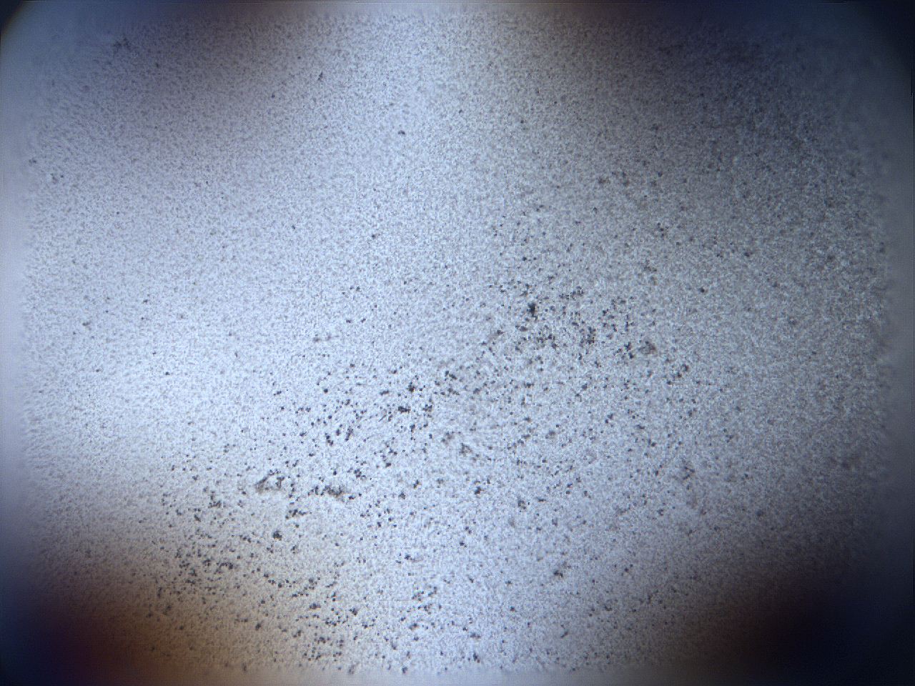 06f8_A5_ImagerDefaults_0.jpg