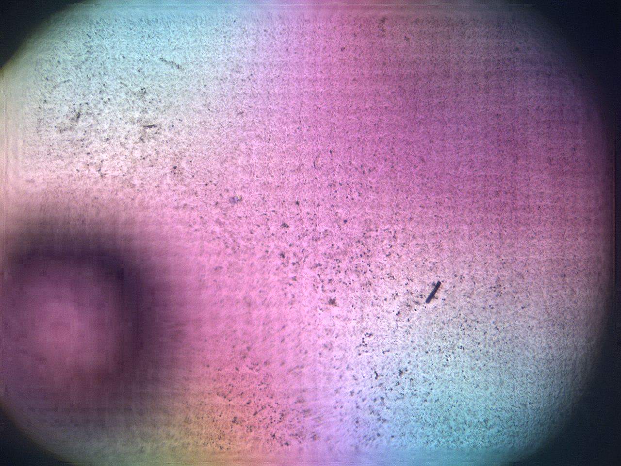 06f8_B5_ImagerDefaults_0.jpg