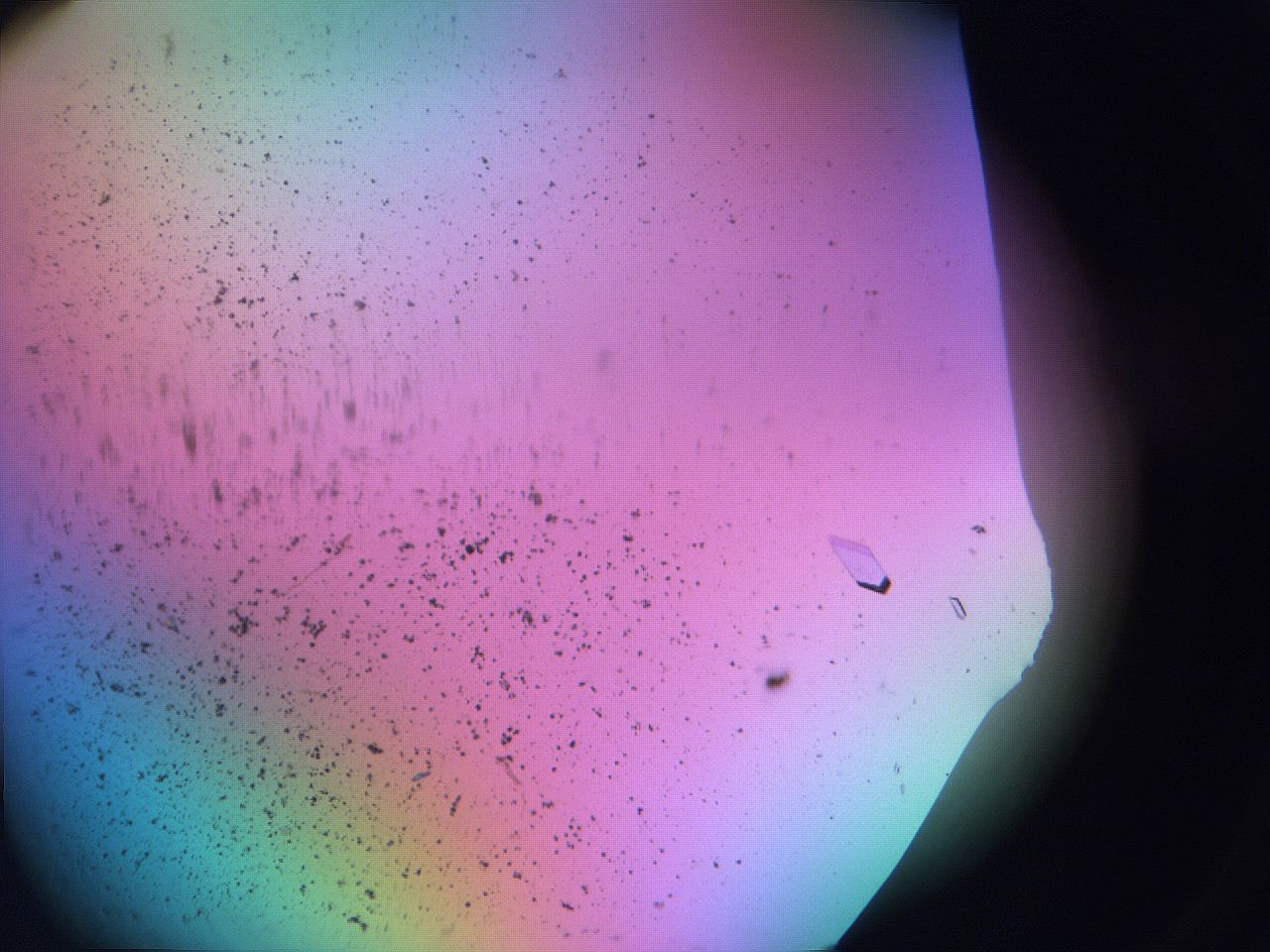 06f8_C4_ImagerDefaults_9.jpg