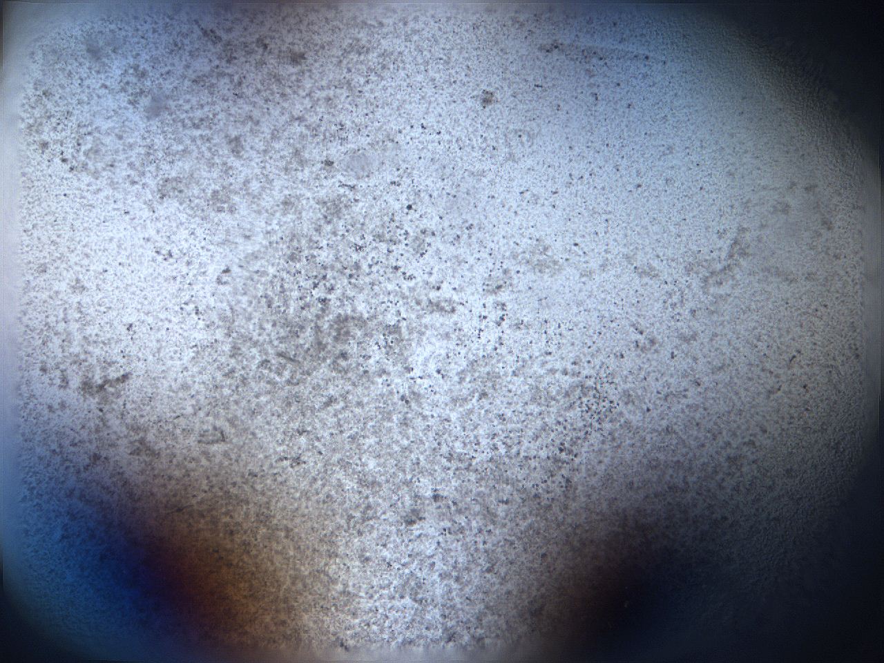 06f8_C5_ImagerDefaults_9.jpg