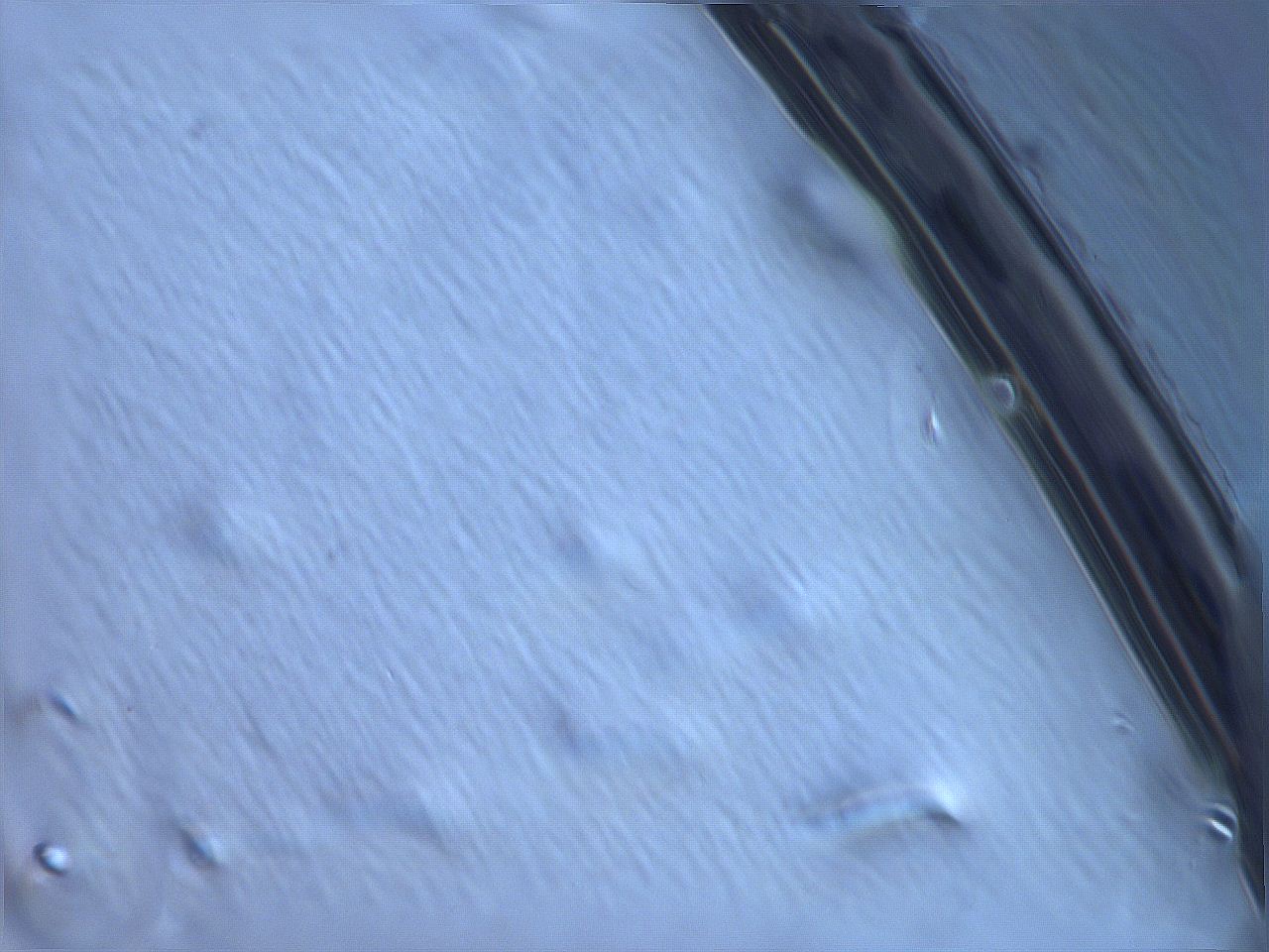 06f9_E2_ImagerDefaults_m.jpg