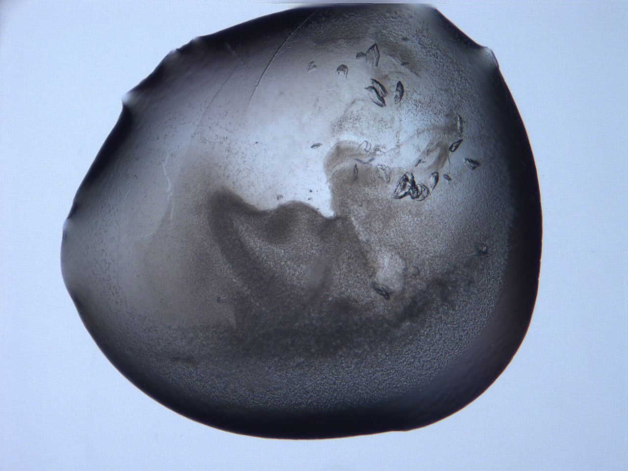 06f9_B10_ImagerDefaults_3.jpg