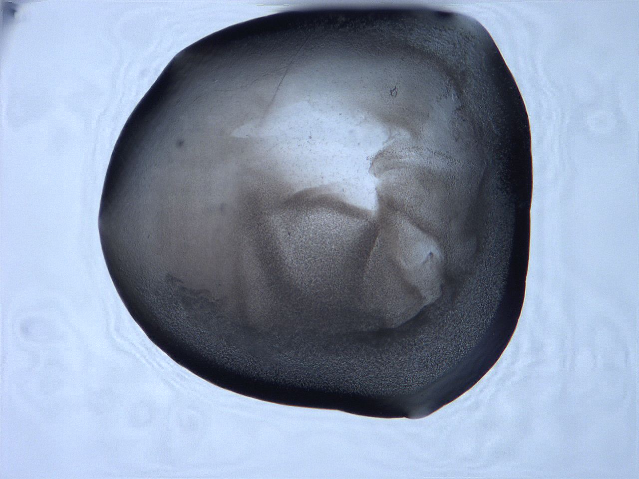 06f9_B11_ImagerDefaults_3.jpg