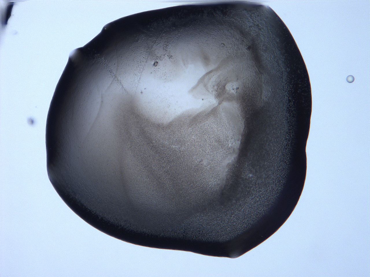 06f9_B12_ImagerDefaults_3.jpg