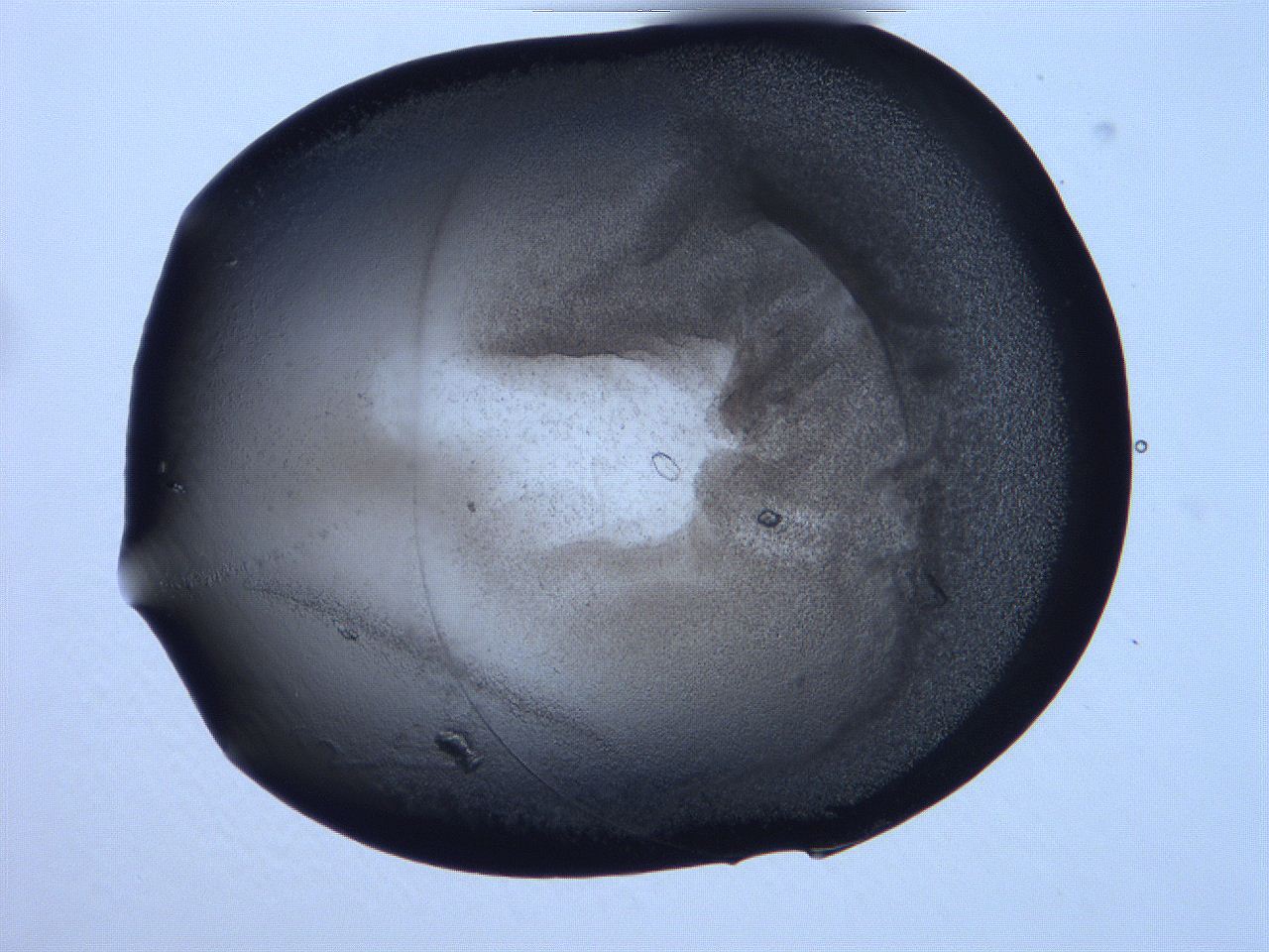 06f9_A11_ImagerDefaults_3.jpg