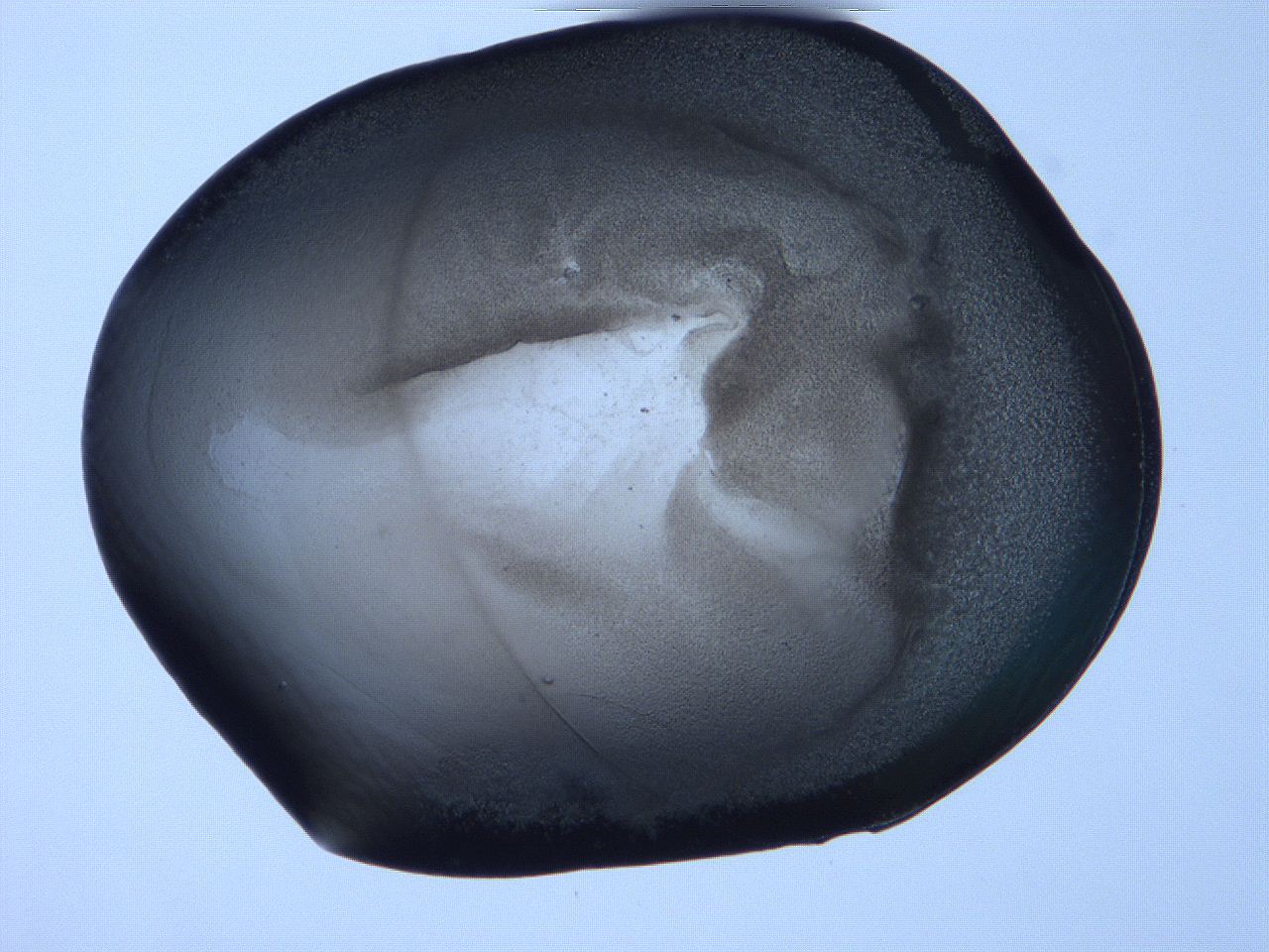 06f9_C12_ImagerDefaults_3.jpg