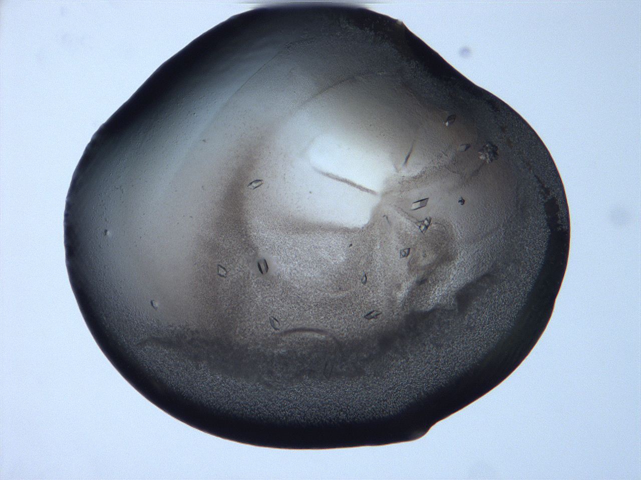 06f9_D12_ImagerDefaults_3.jpg