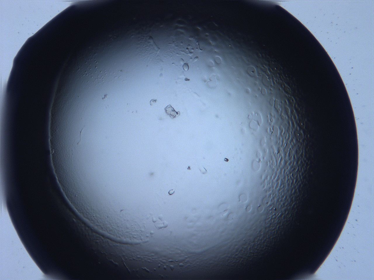 06fa_C12_ImagerDefaults_2.jpg
