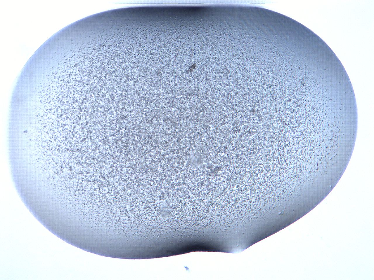 06fa_A7_ImagerDefaults_3.jpg