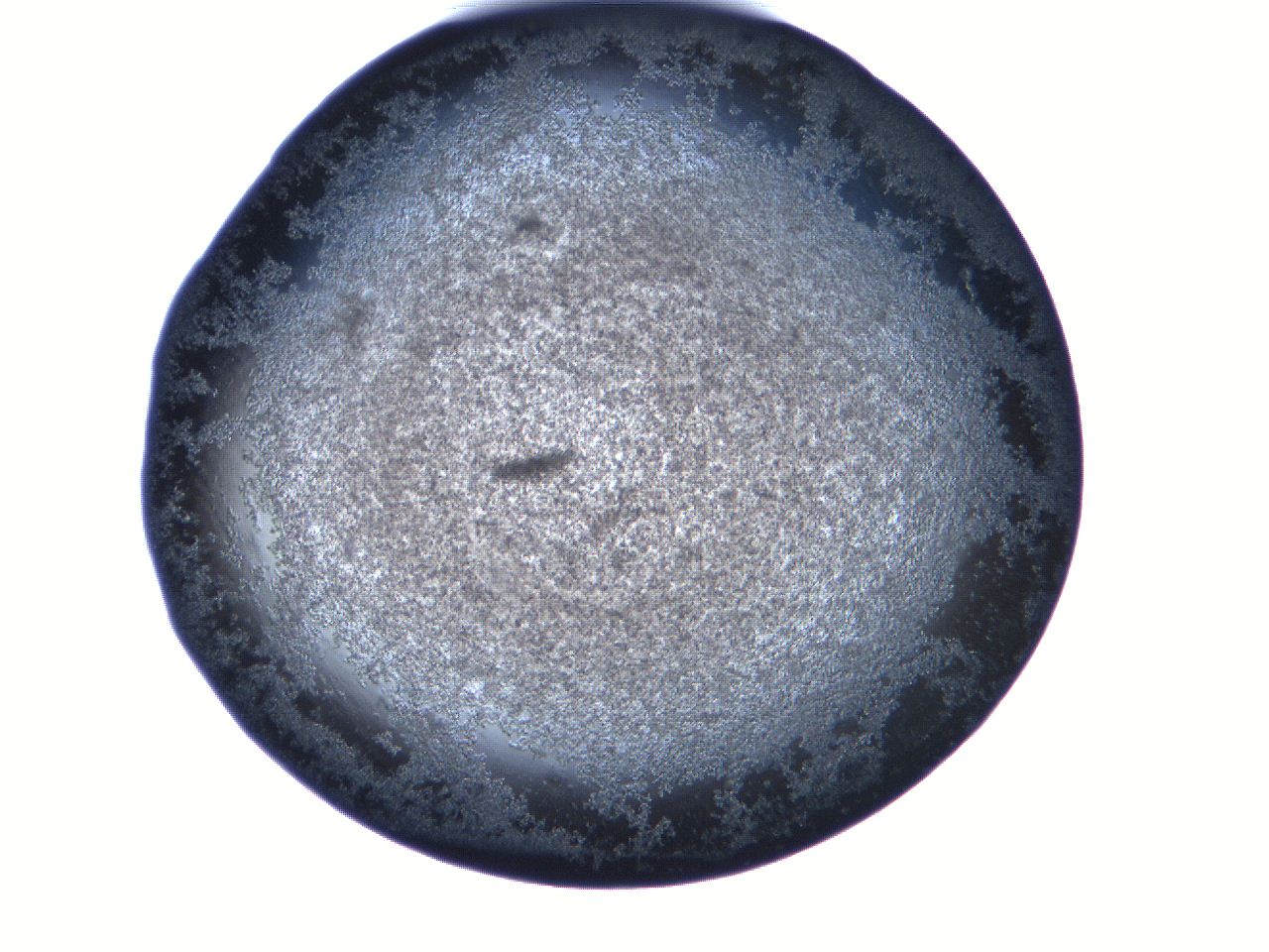 06fa_A8_ImagerDefaults_3.jpg