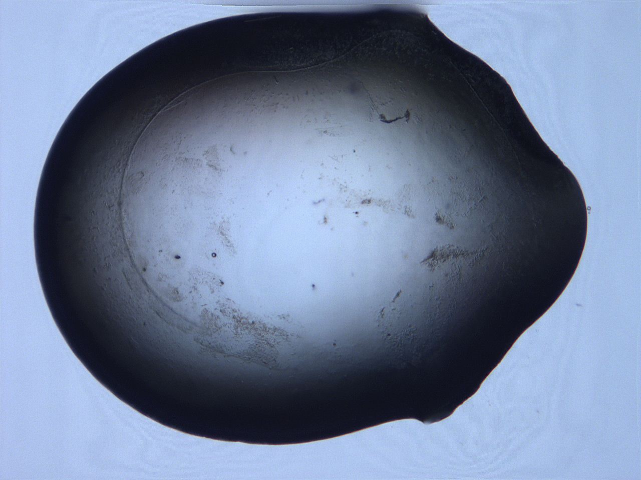 06fa_C6_ImagerDefaults_3.jpg