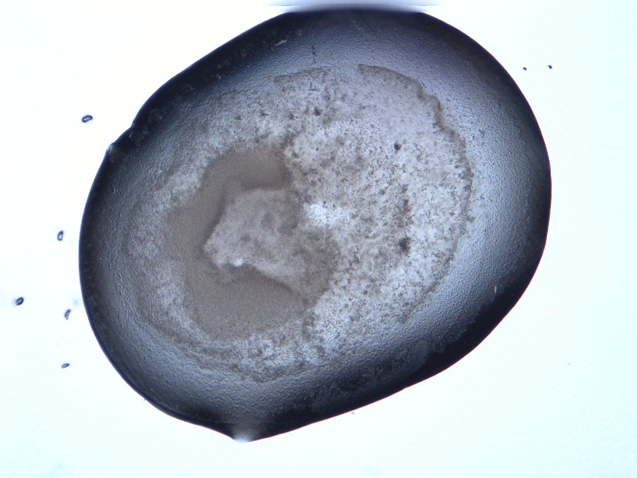 06fa_C11_ImagerDefaults_3.jpg
