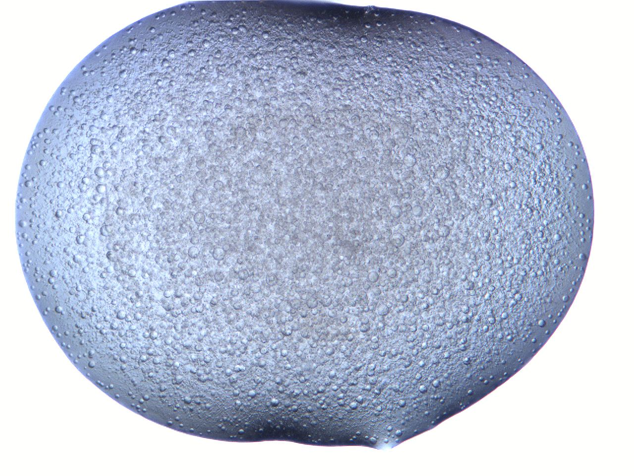 06fa_C8_ImagerDefaults_2.jpg